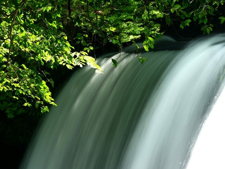 Waterfall at High Speed - swift, multicolor, rivers, scene, scenario, high speed, trunks, plants, nimble, colors, natural, colours, gray, green, computer, amazing, leaves, forests, fast, view, sun, water, photoshop, cool, colorful, black, lightness, bright, speed, waterfalls, scenery, wood, light, nice, high resolution, rapid, fullscreen, white, picture, nature, brightness, background, wallpaper, cascades, wiged, landscape, photo, desktop, creeks, grove, speedy, branches, trees, image, beautiful, falls, photography, pc, paisagem, cenario, awesome, cena, panorama, multi-coloured, leaf