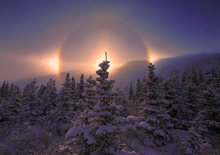 Sundog - winter, picture, sundog, beautiful