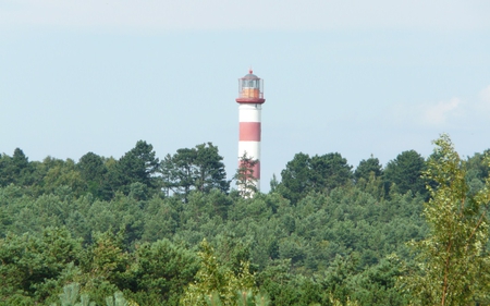 Lighthouse - nature, lighthouse, forrest, trees