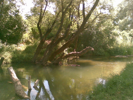 Nishava3 - nature, for people, rivers, beuty