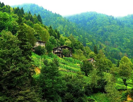 karadeniz - turkey