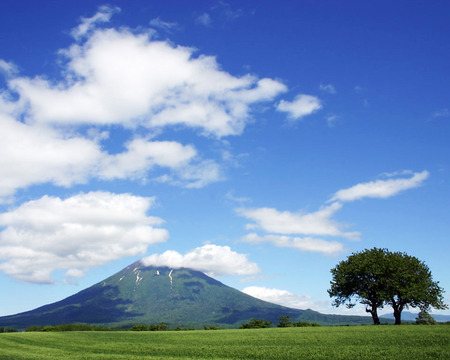 Field !!! - cloud, sky, field, tree, nature, mountain, blue, green