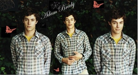 Adam Brody - gilmaore girls, the oc, in the land of women, adam jared brody, mr and mrs smith