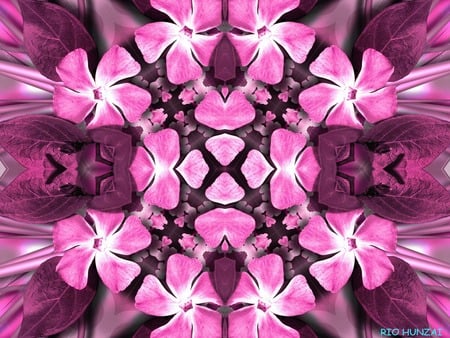 Flower~*~RIO CREATION~*~ - rio hunzai, heart wallpaper