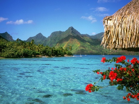  tranquil lagoon  - lagoon