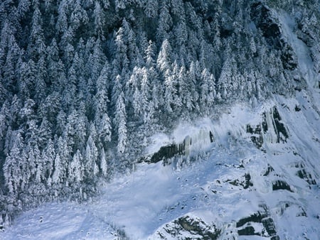 chinese snowscape  - chinese, snowscape