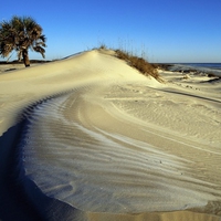 cumberland-island