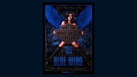 Blue Wing Harley-Davidson Angel - icon, hottie, blue, harley, eyes, chick, crest, emblem, iconic, michelle marie, brunette, motorcycle, beautiful, hot, girl, beauty, hair, black, babe, woman, model, wings, classic, davidson, cute, cutie