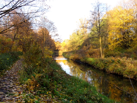 Golden Polish Autumn - river, trees, autumn, poland, park