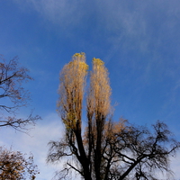 Touching the sky