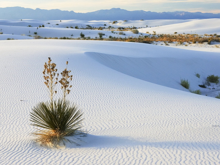 desert,sands,beauty,calm - sands, beauty, calm, desert