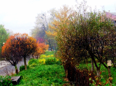 I'm talking to you - nature, autumn, colours, trees