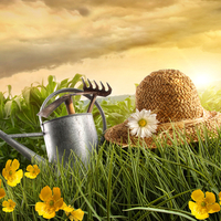 Garden work