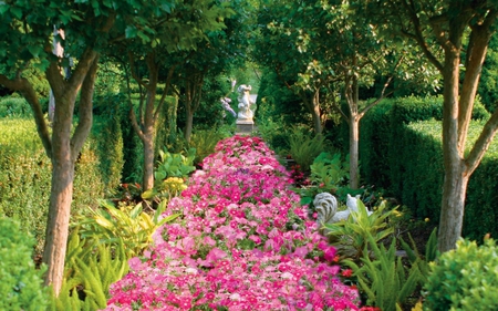 Fragrant Pathway - pink, row, flowers, leaves, bushes, trees