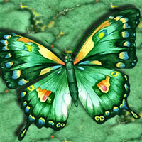 Abstract Green Butterfly F2