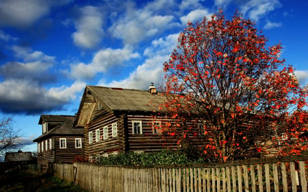 Autumn - beautiful, village, leaves, grass, architecture, view, autumn colors, tree, nature, autumn, colorful, fall, path, landscape, beauty, peaceful, sky, houses, fence, clouds, lovely, splendor, house, trees, colors, other