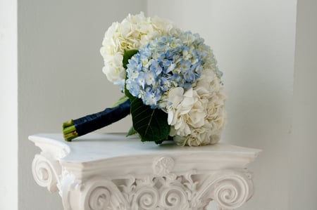 Bouquet - beauty, nice, photography, hydrangea, bride, bouquet, still life, white, pretty, cool, gently, harmony, wedding, lovely, blue, beautiful, flowers, photo, elegantly, flower