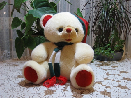 teddybear - cute, white, toy, teddybear