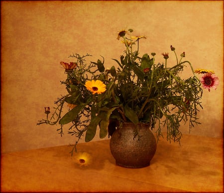 Wild.. - vase, image, beautiful, photo, still life, flowers, nature, arrangement, background, wild flowers