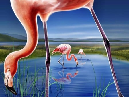 My flamingo lake - birds, water, image, artwork, nature, picture, flamingoes, digital, lake, wall, animals, wallpaper, flamingo