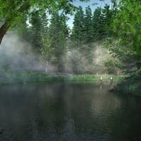 Morning Mist on Meadow Lake