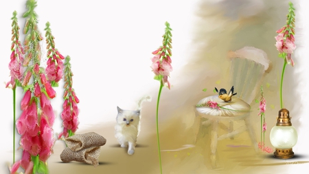 Summer Foxgloves - cat, foxgloves, kitty, burlap, summer, spring, bird, kitten, chair, lantern, flowers, firefox persona