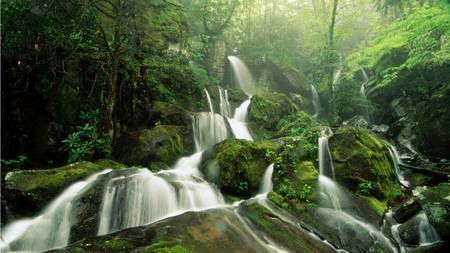 Forest Waterfalls - trees, water, waterfalls, rocks, flowing, forest, river, green, leaves, levels