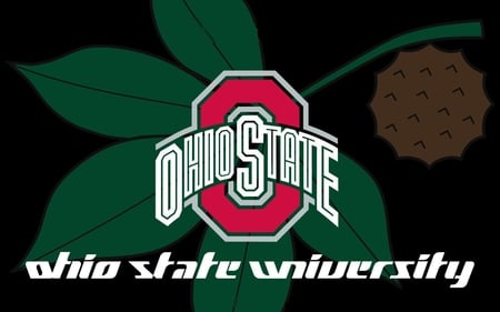 OHIO STATE UNIVERSITY - ohio, buckeye, football, state