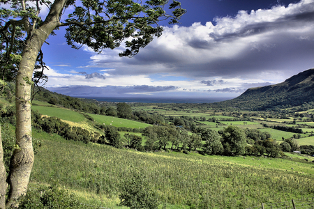 nature art work - nature, sky, trees, mountains, grass