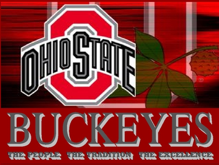 BUCKEYES - football, ohio, buckeyes, state