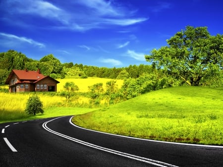 Peaceful Place - beauty, street, farm, sky, trees, peaceful, greens, field, road, amazing, view, pretty, clouds, architecture, green, house, tree, grass, black colorful, fields, houses, landscape, summer, lovely, nature, forest, blue, beautiful, splendor, colors