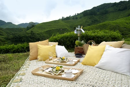 Picnic - glasses, beautiful, relax, harmony, grass, singapore, pleasantly, photography, food, green tea, nature, mountains, drink, pretty, cool, beauty, flowers, champagne, picnic, romance, roses, nice, lovely, trees, green