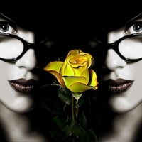 Hot Double Lady, Yellow Rose