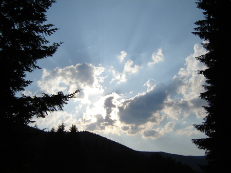 A cloudy day - summer, cloudy, forest, day