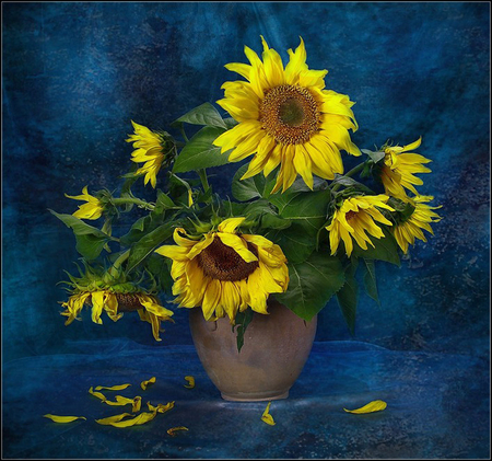 sunflowers - flowers, sunflowers, still life, flora