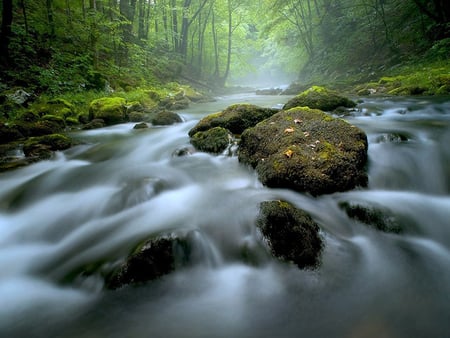 green paradise - river, water, stream, forest, rocks