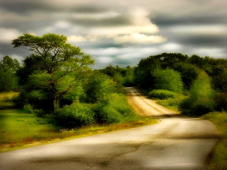 COUNTRY ROAD - sky, trees, path, road, country