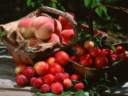 fruit - nature, nice, basket, mmm