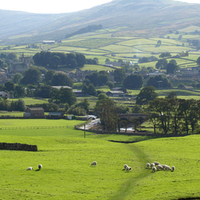 Hazy Summer Day, Yorkshire, England