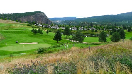 Morning round - greens, morning game, pond, houses, golf, wild flowers