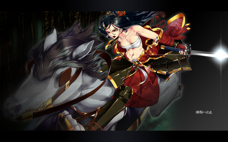 Legendary Samurai Warrior - female warrior, lengendary samurai warrior, tagme, anime sexy girl, armor, fantasy, blades, katana, anime warrior, japanese lady