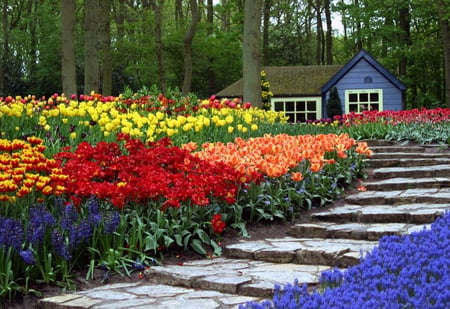 Garden of a house - flowers, house, path, multicolor, amazing, garden