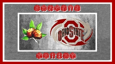 BUCKEYE NATION - ohio, nation, buckeye, state