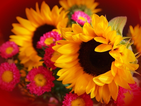 Summer Bouquet - sunflowers, bouquet, summer, still life