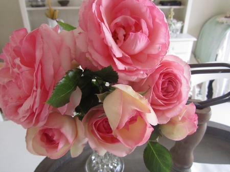 roses for Rosa (rosarina) - nature, roses, pink, flowers, vase