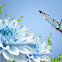 Blue flower and a Butterfly