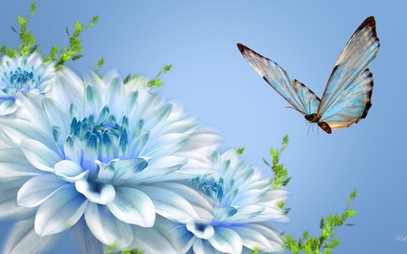 Blue flower and a Butterfly