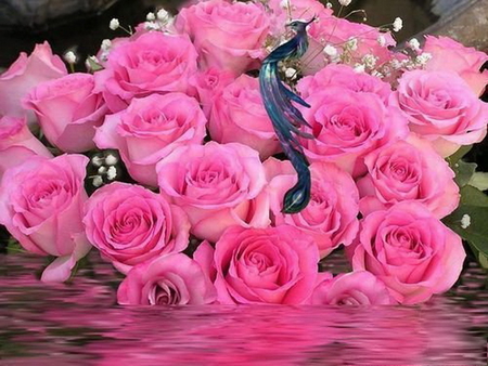 Pink roses - roses, reflection, nature, pink, bouquet