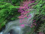 pink and green beauty