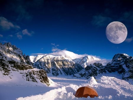 Denali National park in Alaska - mountain, moon, winter, nature, slope, snow, alaska